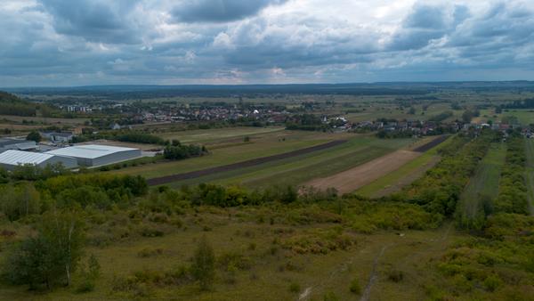 Pińczów