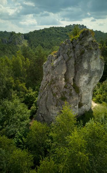 Zdjęcie z drona