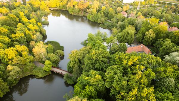 Sołacz